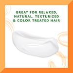 Cantu Argan Yağlı Durulanmayan Klima Onarım Kremi, 40 Ounce