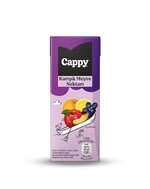 Cappy Karışık Meyve Nektarı Karton Kutu 27x200 ml