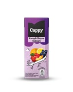 Cappy Karışık Meyve Nektarı Karton Kutu 27x200 ml