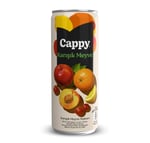 Cappy Karışık Meyve Nektarı Kutu 12x330 ml