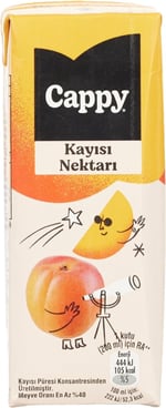 Cappy Kayısı Nektarı Karton Kutu 27x200 ml