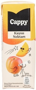 Cappy Kayısı Nektarı Karton Kutu 27x200 ml