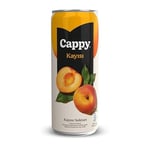 Cappy Kayısı Nektarı Kutu 12x330 ml