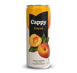 Cappy Kayısı Nektarı Kutu 12x330 ml