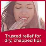 Carmex Orijinal Lezzet Nemlendirici Dudak Balsamı Tüp Değer Paketi, 0,35 Ounce (3 Sayı)
