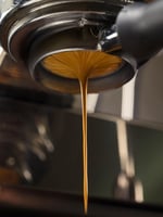 Cartapani 1951 Excelsor Çekirdek Kahve 1000gr