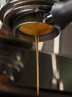 Cartapani 1951 Excelsor Çekirdek Kahve 1000gr