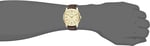 Casio Erkek yetişkin MTP-V001GL-9BUDF Kol Saati Kahve Standart