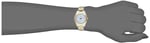 Casio LTP-1129G-7BRDF Kol Saati, Gri-Altın Sarısı, Standart