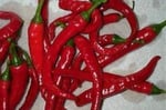 Cayenne Biber Tohumu – 25+ Tohum | Acı, Verimli ve Aromatik Kırmızı Biber Çeşidi | Saksı ve Bahçe Yetiştiriciliğine Uygun