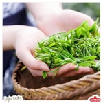 Caykur Çay Çiçeği Çay 500 G