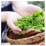 Caykur Çaykur Altınbaş Sade Demlik Poşet Çayı 200 gr