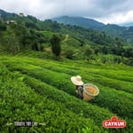 Caykur Çaykur Altınbaş Sade Demlik Poşet Çayı 200 gr