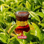 ÇAYKUR Rize Turist siyah çay, otantik Türk yaprak çayı, zengin aroma ve yumuşak tat, günlük lezzet ve kahvaltı çayı için, 1000 g