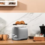 Cecotec Ekmek kızartma makinesi 2 dilim tost ve tuş 1000 Retro Double Inox, 980 W, 2 genişlik ve 3,8 cm kısa yarık, paslanmaz çelik, üst ızgara, ayarlanabilir güç, kırıntı tepsisi