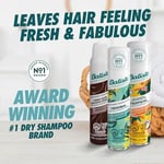 Cherry Kuru Şampuan - Cherry Dry Shampoo 200 Ml 5010724526798
