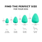 Chew King Premium Treat Köpek Oyuncağı, XL, Son Derece Dayanıklı, Doğal Kauçuk Oyuncak, 2'li Paket - Seçenekler: X-Large - 2 paket, X-Large Pastırma Aromalı - 1 Paket...