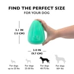 Chew King Premium Treat Köpek Oyuncağı, XL, Son Derece Dayanıklı, Doğal Kauçuk Oyuncak, 2'li Paket - Seçenekler: X-Large - 2 paket, X-Large Pastırma Aromalı - 1 Paket...