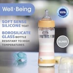 CHICCO Physio vakumlu içecek şişesi, yumuşak silikon ve yumuşak Sense kaplama, altın tutmaz, rejenerasyonu ve sinirliliği azaltır, cam şişe 240 ml, 0 ay+, nötr