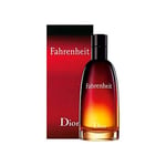 Christian Dior Fahrenheit EDT 100 ml Erkek Parfüm 1 Paket (1 x 100 ml)