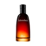 Christian Dior Fahrenheit EDT 100 ml Erkek Parfüm 1 Paket (1 x 100 ml)