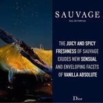 Christian Dior Sauvage EDP 200 ml Erkek Parfüm 1 Paket (1 x 200 ml) - Seçenekler: 60ml, 100ml, 200 ml