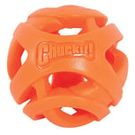Chuckit! Air Fetch Ball Köpek Oyuncağı, Orta (6,4 cm çap), 9-27 kg köpekler için, 2'li paket