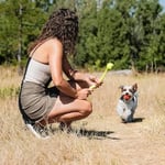 Chuckit! Air Fetch Ball Köpek Oyuncağı, Orta (6,4 cm çap), 9-27 kg köpekler için, 2'li paket