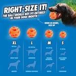 Chuckit! Air Fetch Ball Köpek Oyuncağı, Orta (6,4 cm çap), 9-27 kg köpekler için, 2'li paket