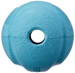 Chuckit! Fetch Ball Köpek Oyun Topu (Büyük Boy)