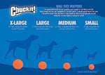 Chuckit! Fetch Ball Köpek Oyun Topu (Büyük Boy)