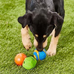 Chuckit! Fetch Medley 3'lü Köpek Oyun Topu Seti – Strato Ball, Ultra Squeaker ve Erratic Ball - (M)