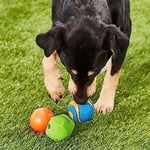 Chuckit! Fetch Medley 3'lü Köpek Oyun Topu Seti – Strato Ball, Ultra Squeaker ve Erratic Ball - (M)