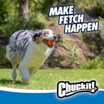 Chuckit Gen 1 Köpek Top Seti, Orta Boy 6.4 cm Çap, Yüksek Sıçrama-Yüzen-Sağlam Top, 3'lü Paket