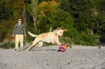 Chuckit! Kick Fetch Köpek Oyun Topu (Küçük Boy) - Bedenler: S, Small