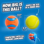 Chuckit! Ultra Ball Köpek Oyun Topu (Medium)