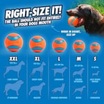 Chuckit! Ultra Ball Köpek Oyun Topu (Medium)