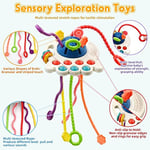 Circle Toys UFO Eğitici Duyusal Aktivite Oyuncağı - 1-3 Yaş Yürümeye Başlayan Çocuklar için Montessori Gelişim Seti