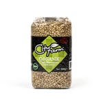 CityFarm Organik Yeşil Mercimek 1000 Gr