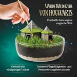 Clementoni 19248 Çocuklar İçin Harry Potter Teraryum, Çok Renkli