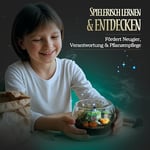 Clementoni 19248 Çocuklar İçin Harry Potter Teraryum, Çok Renkli