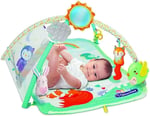 Clementoni Baby Clementoni Jimnastik Merkezi Renkli 0+