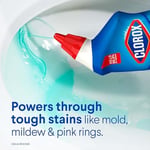 Clorox Klozet Temizliği Rain Clean Scent 709ML