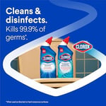 Clorox Klozet Temizliği Rain Clean Scent 709ML