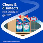 Clorox Klozet Temizliği Rain Clean Scent 709ML
