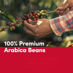 Coffeein Fındık (Hazelnut) Aromalı Filtre Kahve 250 Gr Clipsli Ambalaj Doğal Aroma