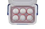 Coleman Performance 6 Personal Khlbox, passive kleine Thermobox fr Essen und Getrnke, Eisbox mit Griff, Khlleistung bis zu 9 Stunden