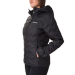 Columbia Delta Ridge 2 Down Hooded Jacket Kapüşonlu kuş tüyü mont Kadınlar