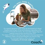 Company of Animals Coachi Chase & Crinkle - Chase & Play için Eğlenceli Bir Zenginleştirme Köpek Oyuncağı. Yumuşak ve Kırışıklı, Hafif, Öd - Seçenekler: Chase & Kırışıklık, Tuggi Helix, Tuggi Postu...