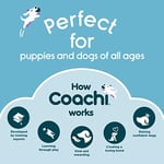 Company of Animals Coachi Chase & Crinkle - Chase & Play için Eğlenceli Bir Zenginleştirme Köpek Oyuncağı. Yumuşak ve Kırışıklı, Hafif, Öd - Seçenekler: Chase & Kırışıklık, Tuggi Helix, Tuggi Postu...